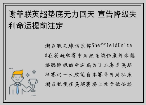 谢菲联英超垫底无力回天 宣告降级失利命运提前注定